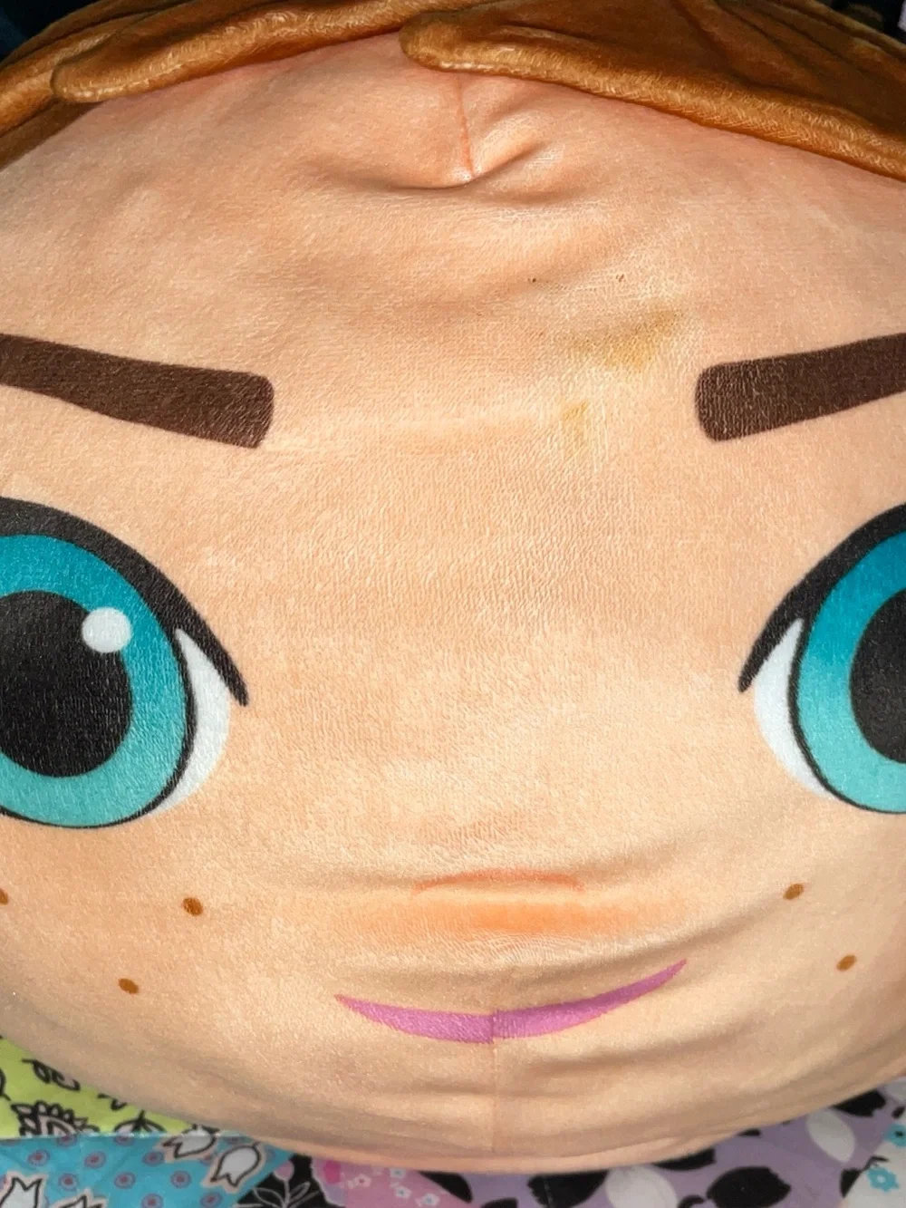 Disney Frozen Anna and Elsa Round Plush Pillows